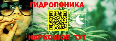 герыч Новозыбков