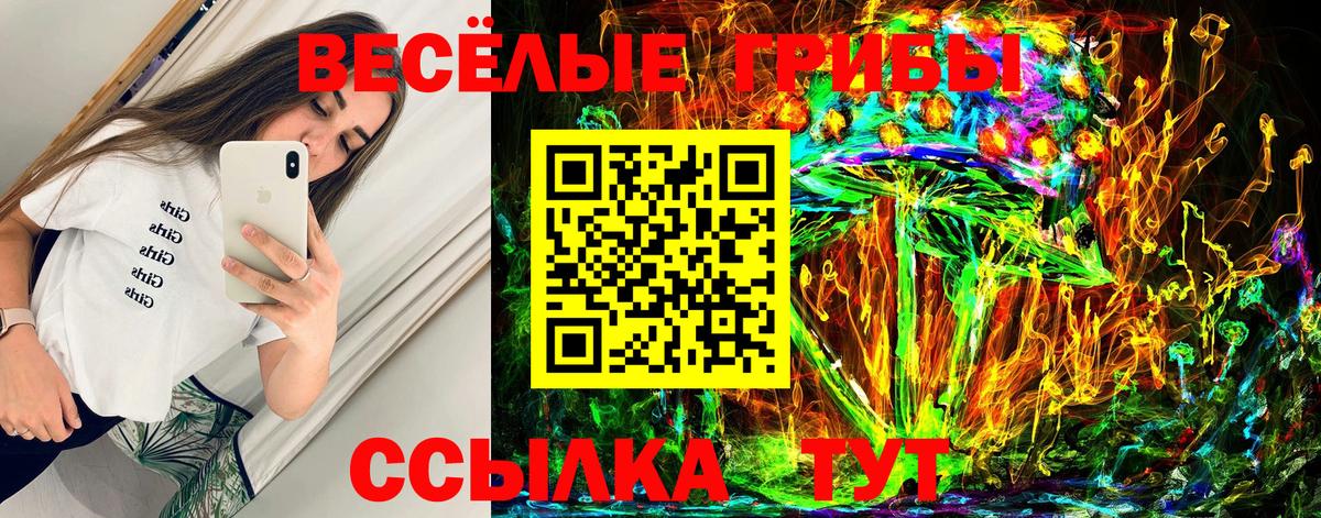 Галлюциногенные грибы Psilocybe Волхов