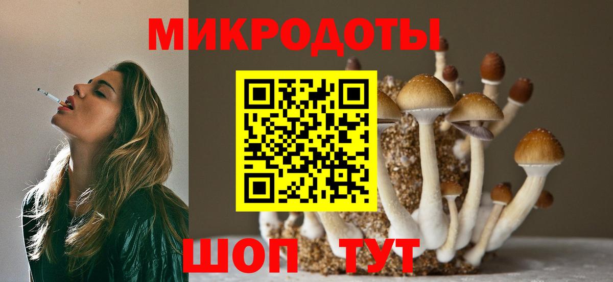 Галлюциногенные грибы прущие грибы  где купить наркотик  Псилоцибиновые грибы Magic Shrooms  Волхов  Вход с VPN 